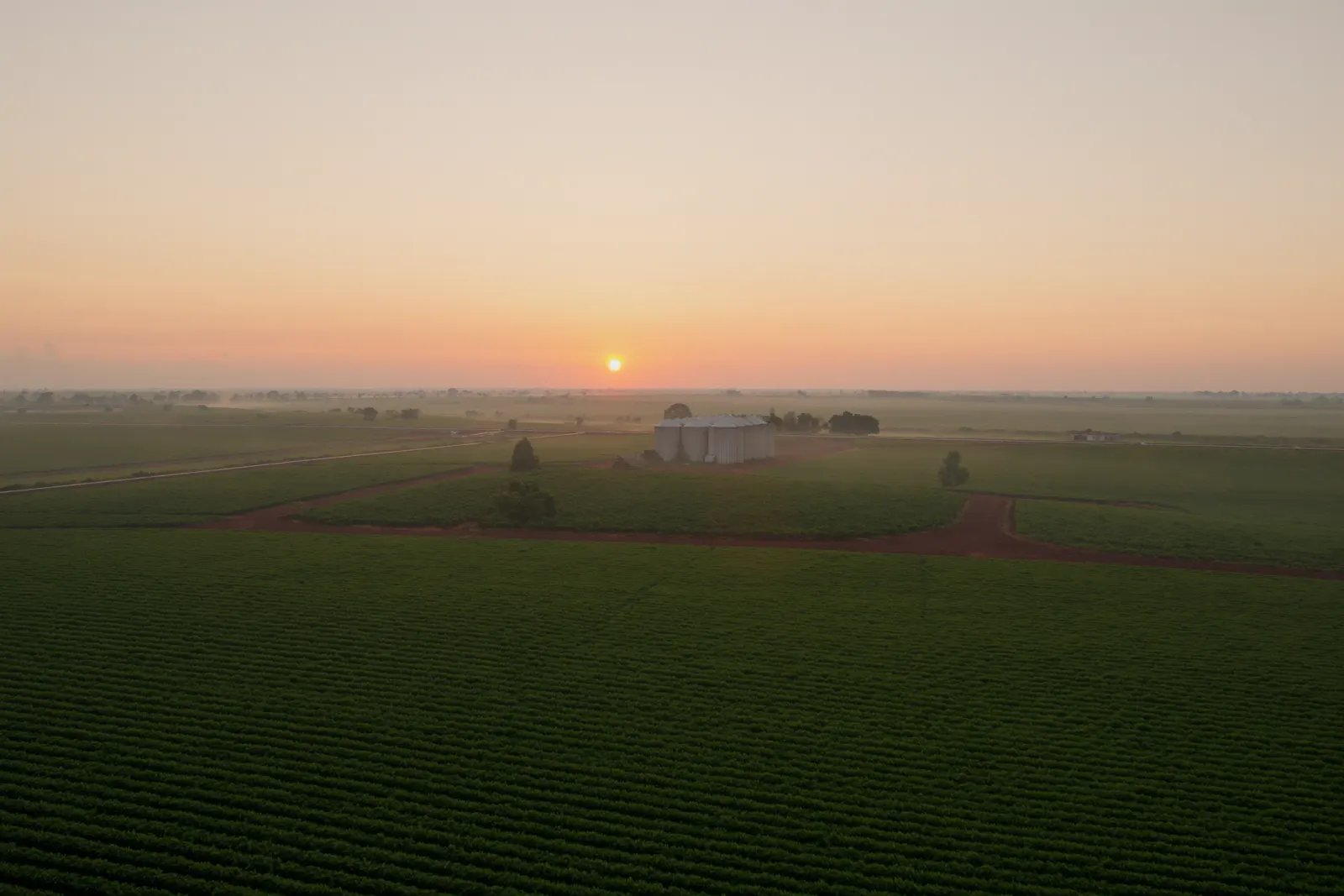Campo de soja y silos al amanecer en el este de Paraguay